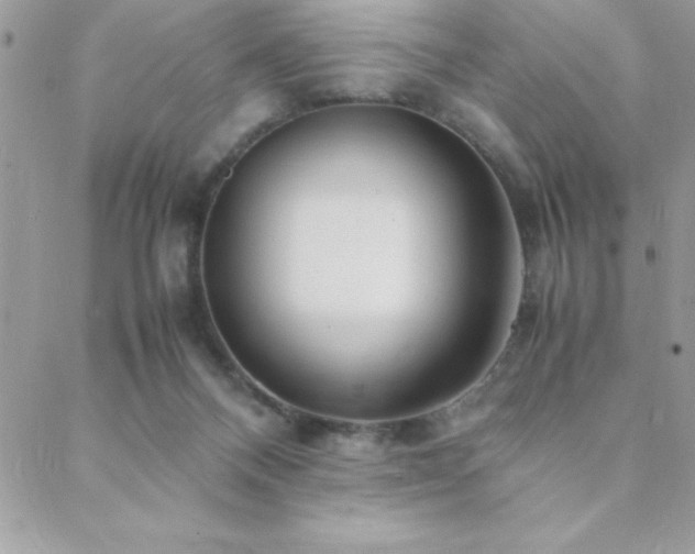 X0000089360120200706151143