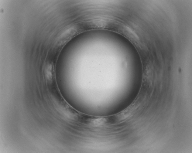 X0000089360122200706151143