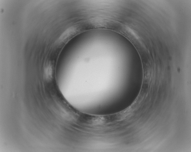 X0000089360124200706151143
