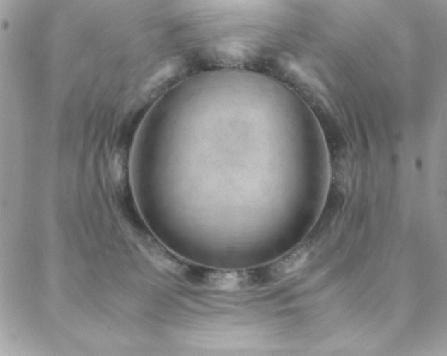 X0000089360131200706151143