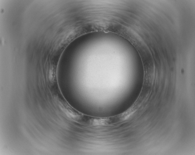 X0000089360134200706151143