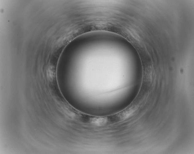 X0000089360135200706151143