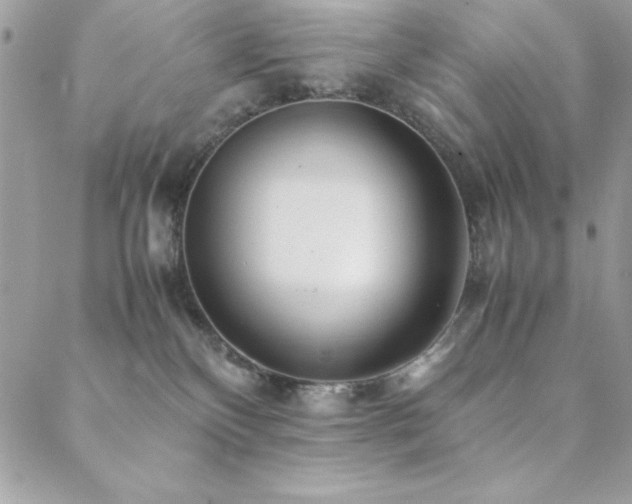 X0000089360136200706151143