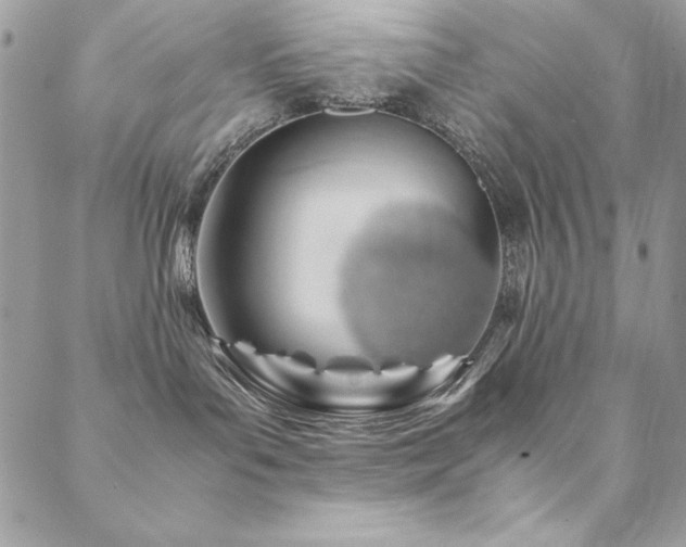 X0000089360143200706151143