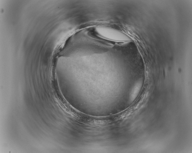 X0000089360149200706151142
