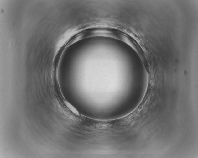X0000089360152200706151142