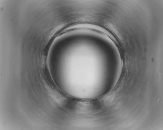 X0000089360164200706151142