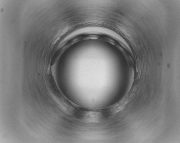 X0000089360168200706151142