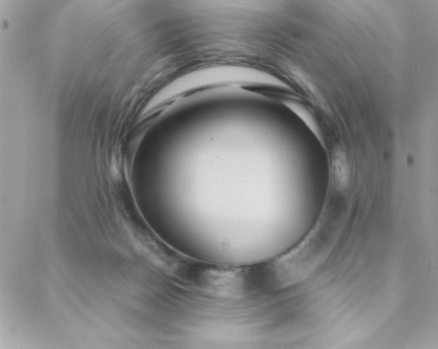 X0000089360170200706151142