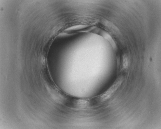 X0000089360176200706151143
