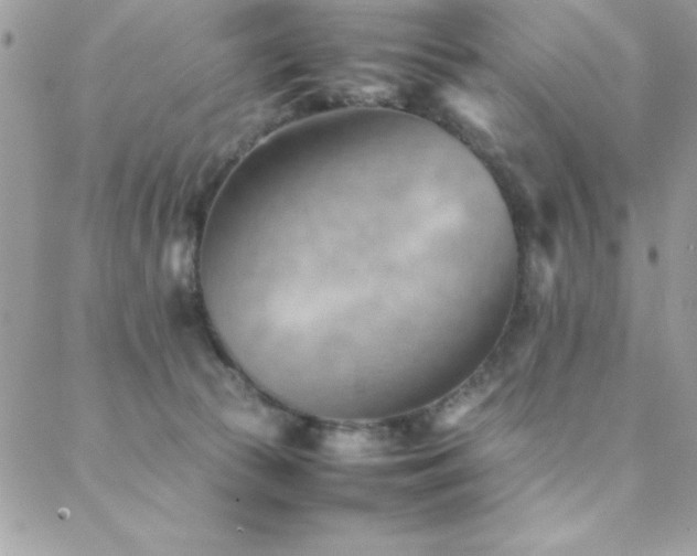 X0000089360177200706151143