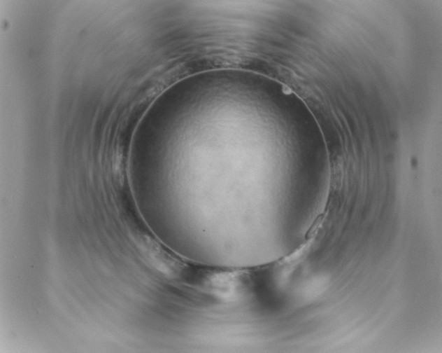 X0000089360178200706151143