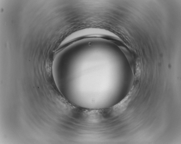 X0000089360186200706151143