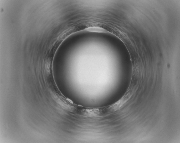 X0000089360188200706151143