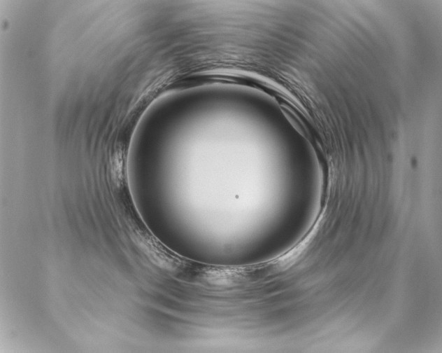 X0000089360190200706151143