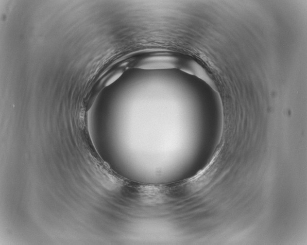 X0000089360192200706151143