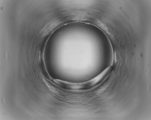 X0000089360205200706151142