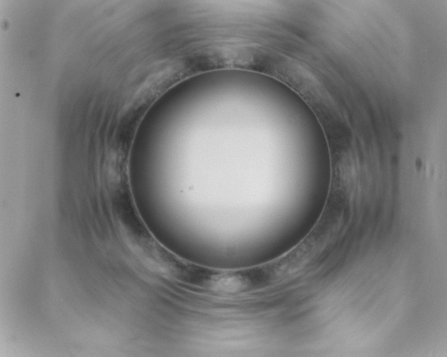 X0000089360218200706151142