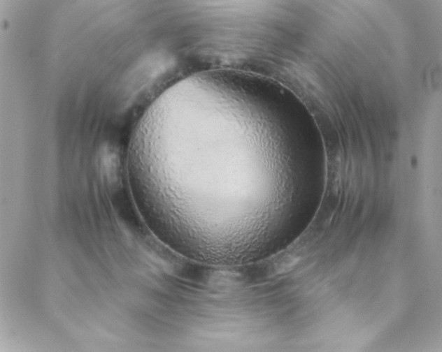 X0000089360222200706151142