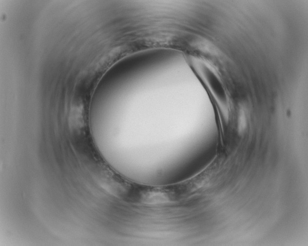 X0000089360224200706151142