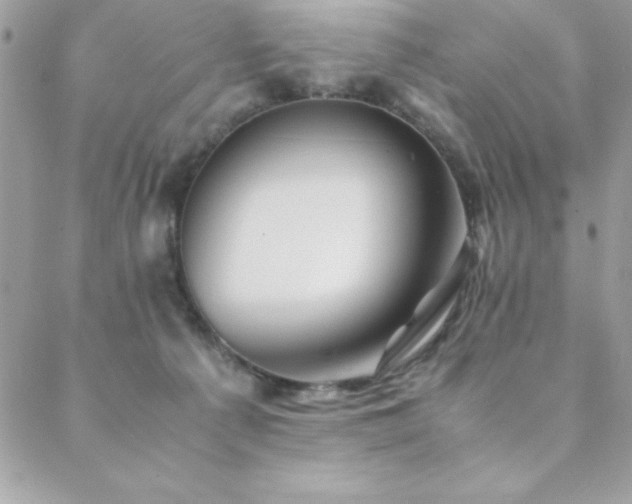 X0000089360225200706151142