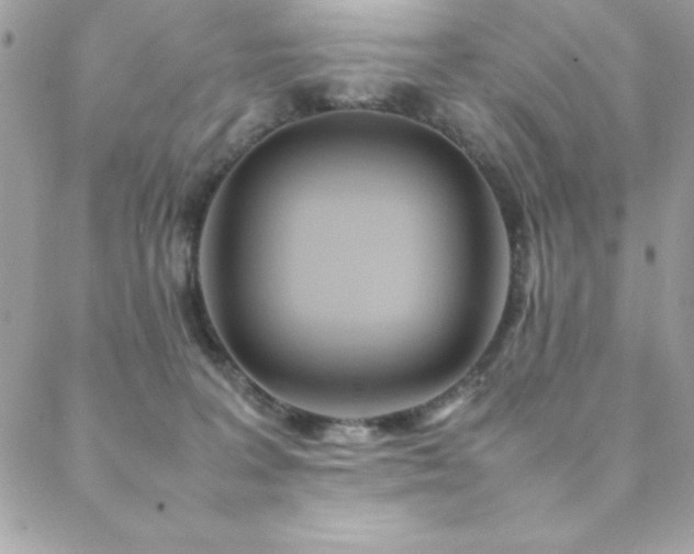 X0000089360227200706151142