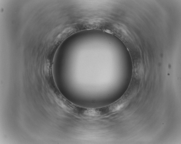 X0000089360231200706151141