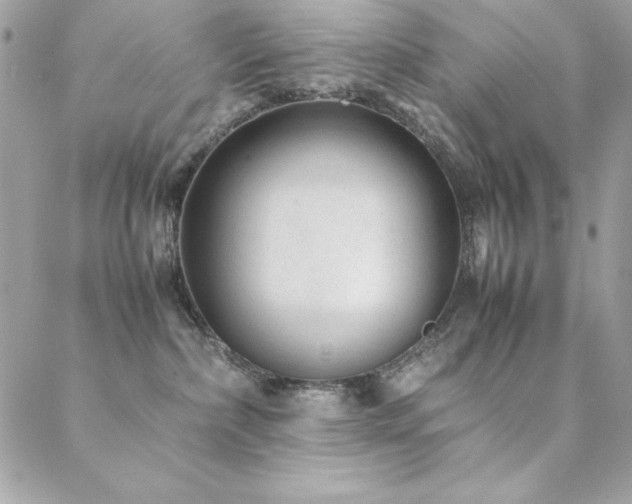 X0000089360236200706151141