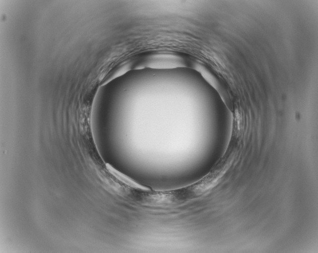 X0000089360237200706151141