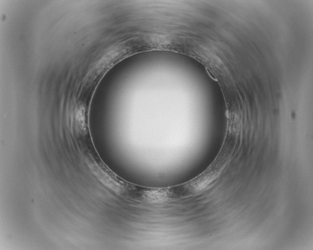 X0000089360238200706151141