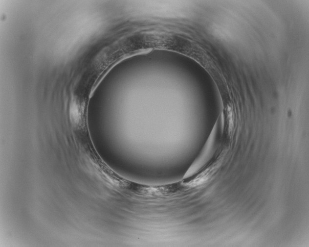 X0000089360239200706151141