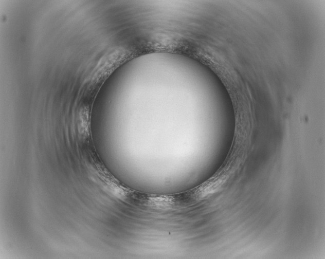 X0000089360240200706151141