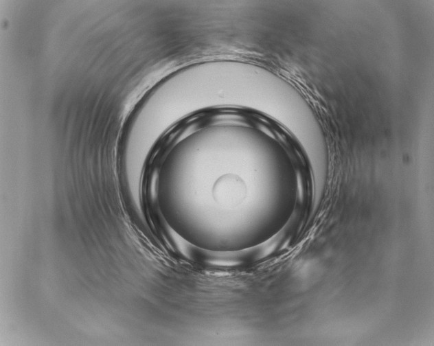 X0000089360244200706151141
