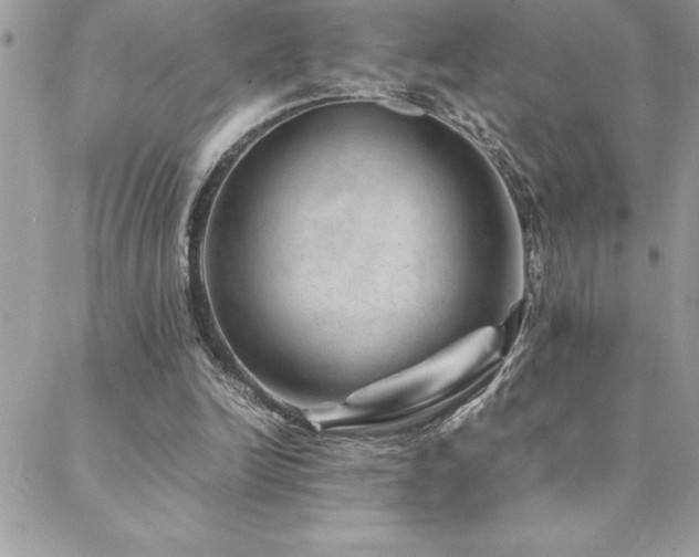 X0000089360246200706151141