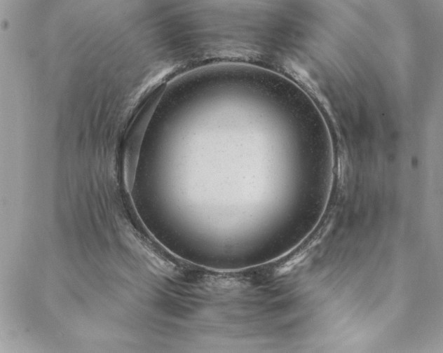 X0000089360249200706151141