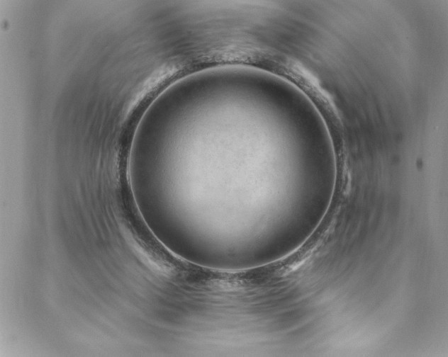 X0000089360250200706151141