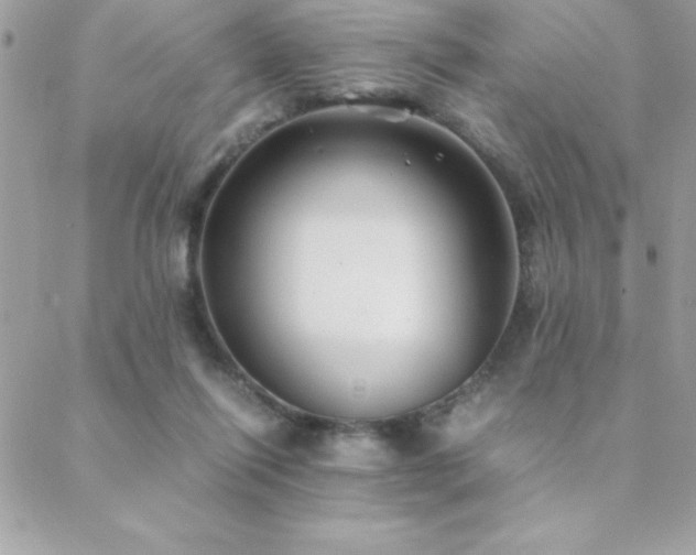 X0000089360262200706151141
