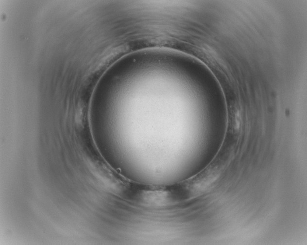 X0000089360266200706151141
