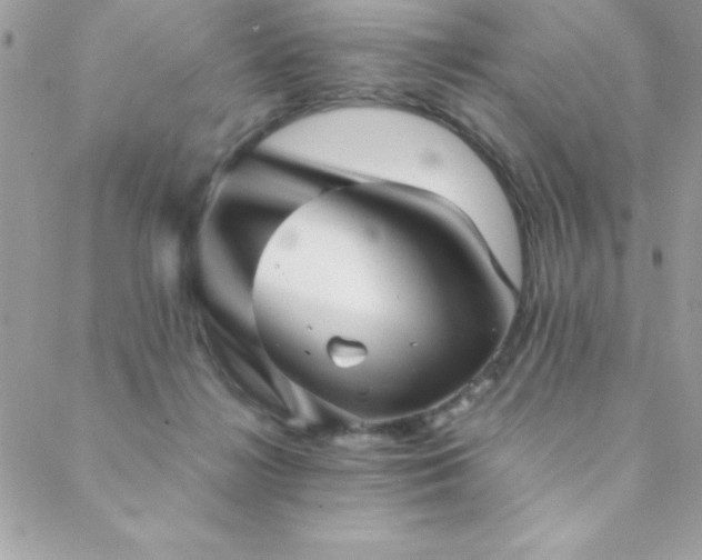 X0000089360268200706151141