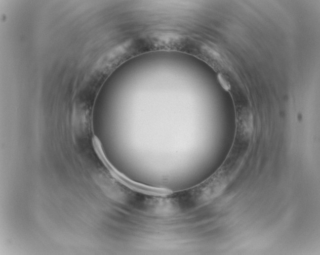 X0000089360276200706151141