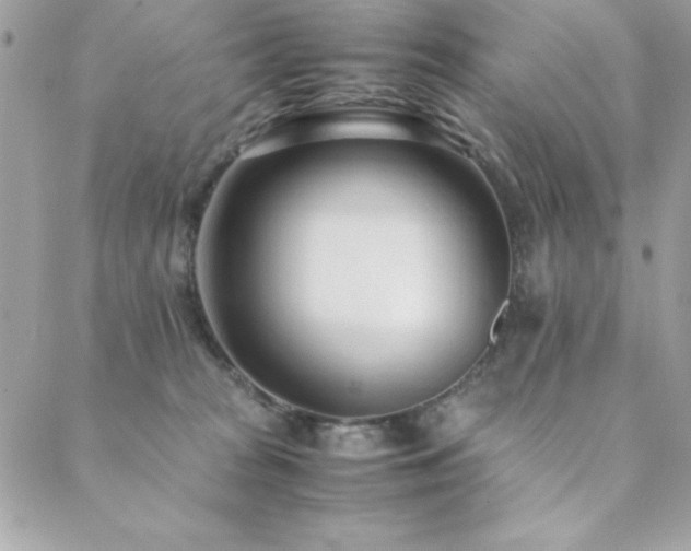 X0000089360277200706151141