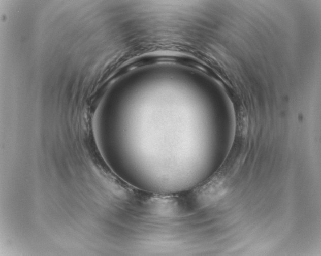 X0000089360280200706151141