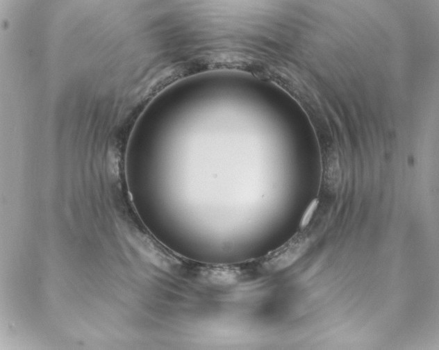 X0000089360282200706151141