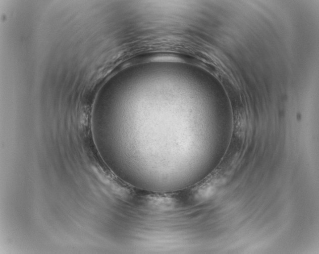 X0000089360284200706151141