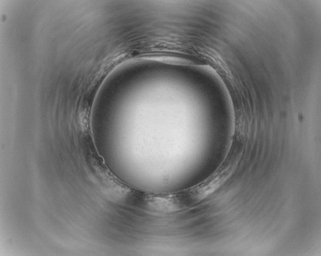 X0000089360285200706151141