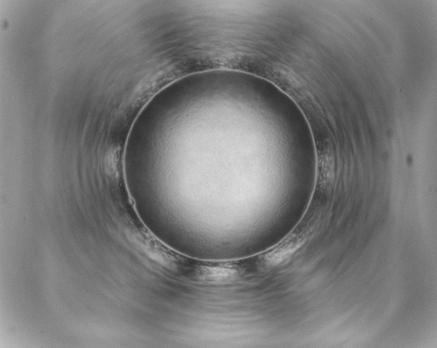 X0000089360286200706151141