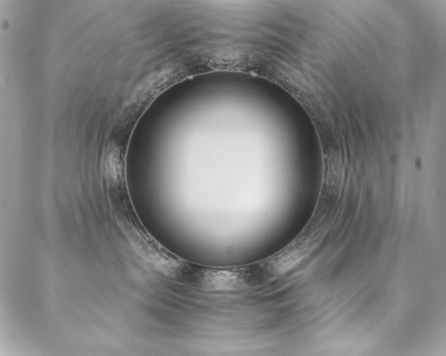 X0000089360287200706151141