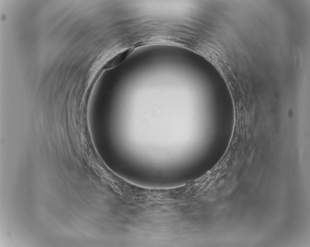 X0000089360289200706151141
