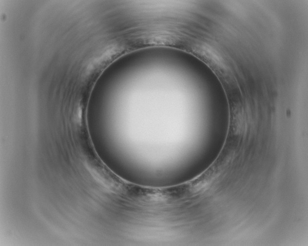 X0000089360310200706151140