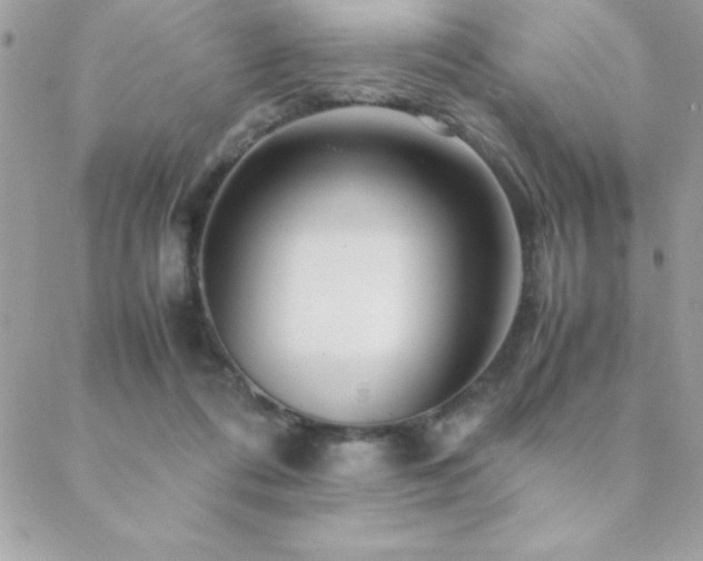 X0000089360312200706151140
